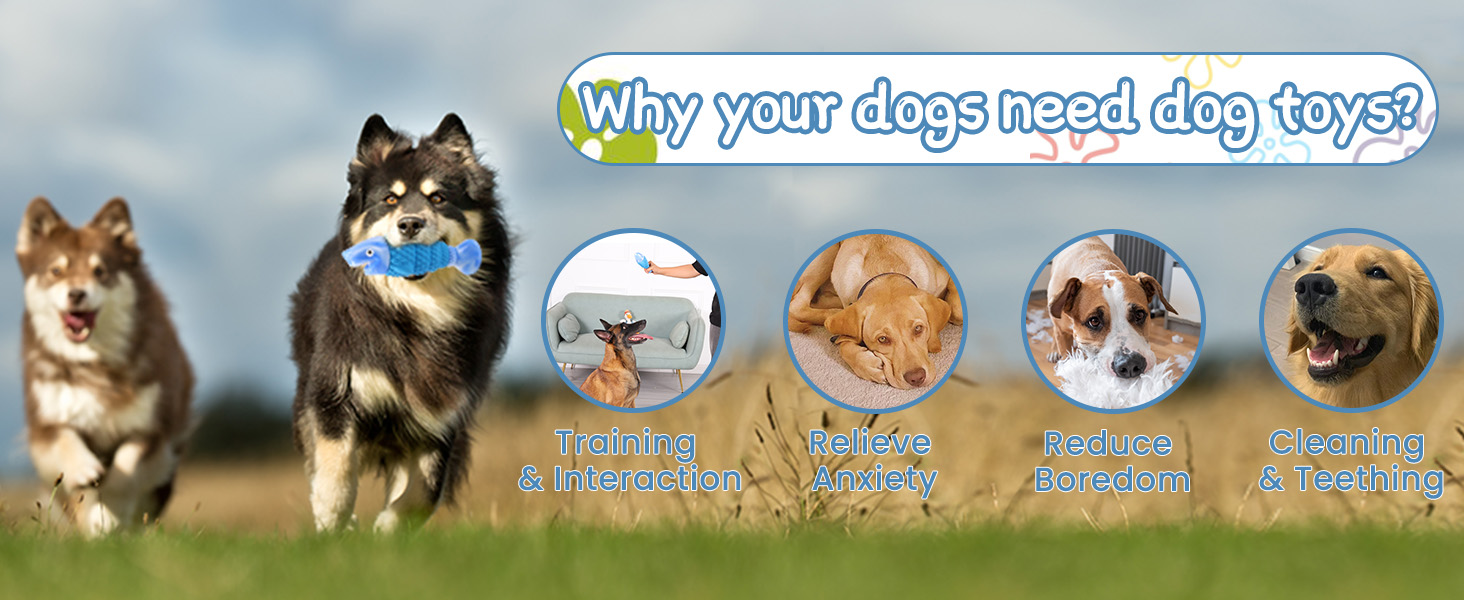 dog bones for aggressive chewers