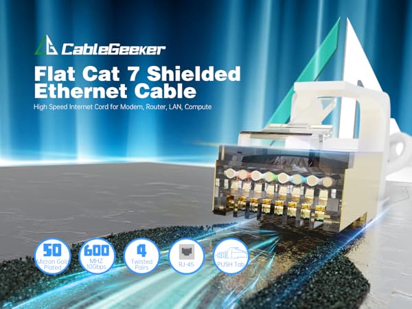 Ethernet Cable