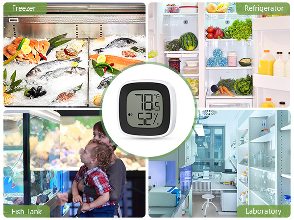 Refrigerator Thermometer