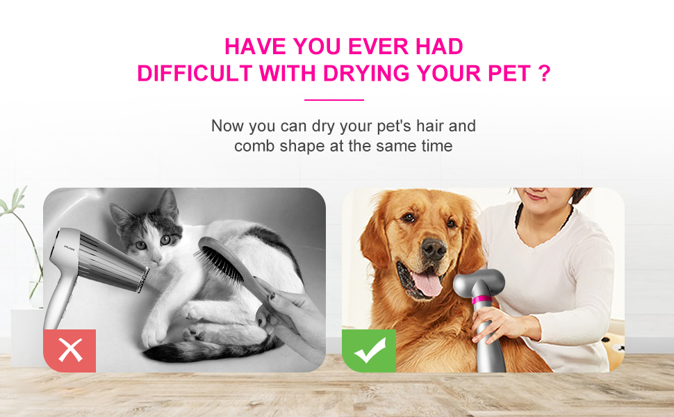 pet hair dryer