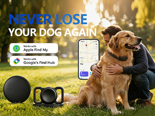 Gps dog collar