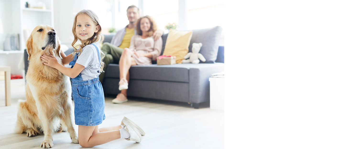 mop bucket floor mop flat mop