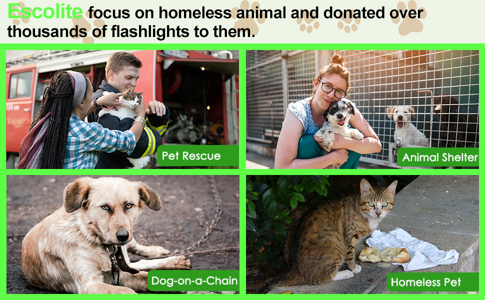 black light flashlight