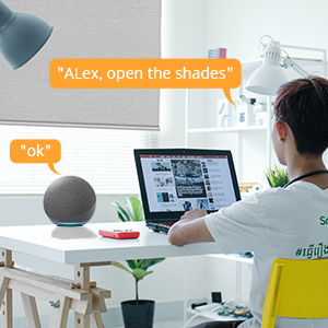 Voice control blinds