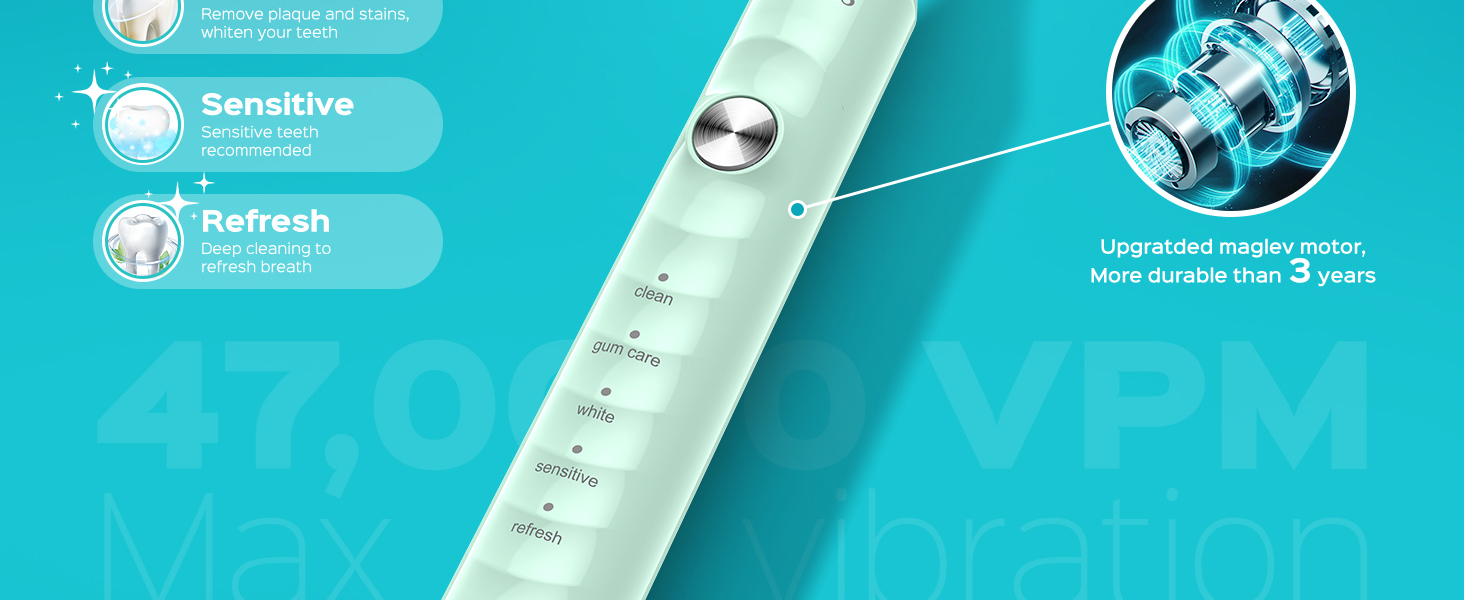 Electric Sonic Ultrasonic Toothbrush Adults Kids Cepillo de dientes ultrasónico eléctrico sónico