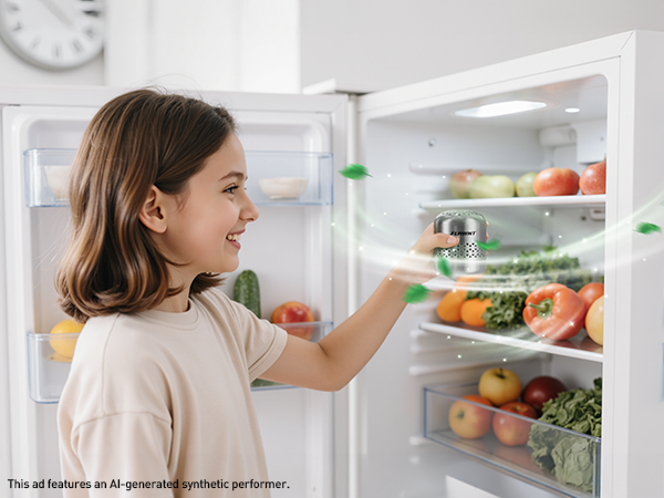 Fridge Deodorizer