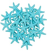 Framendino, 30 Pack Cute Seashells Starfish Decor Small Finger Resin Starfish Ornaments for Weddi...