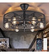 Depuley Outdoor Ceiling Fan with Light: 26" Caged Ceiling Fans with Remote App Control for Patio ...
