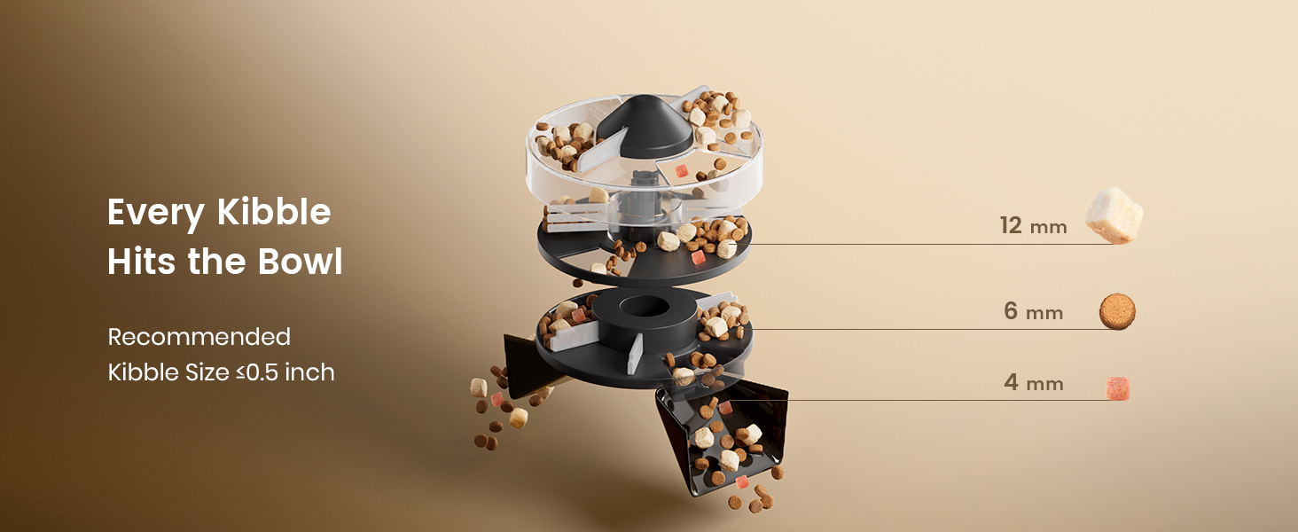 automatic cat feeder