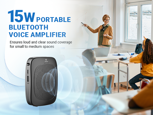 winbridge voice amplifier