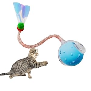 Cat Ball, Cat Toy