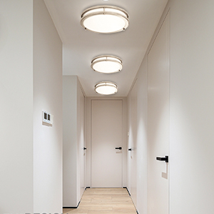 Ceiling Light Fixture