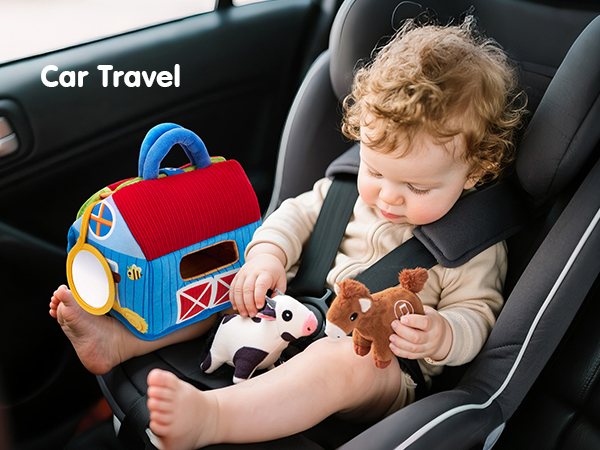 Baby Toys 6-12 Months