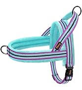 Didog Soft Flannel Padded Dog Vest Harness, No Pull/Quick Fit Reflective Dog Strap Harness, Easy ...