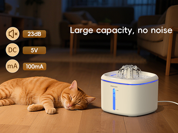 cat fountain