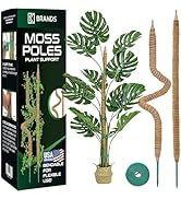 2 Pack 28'' Bendable Moss Pole Monstera Plant Support for Climbing Indoor Plants - Stakes for Pot...