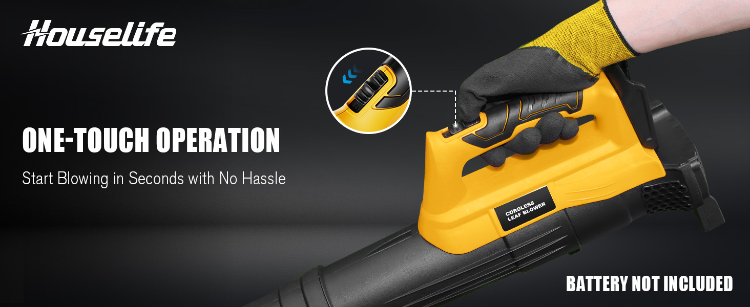 dewalt leaf blower 20v max