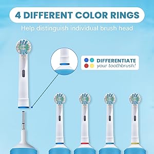 replacement toothbrush head