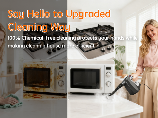 hand held steamer for cleaning