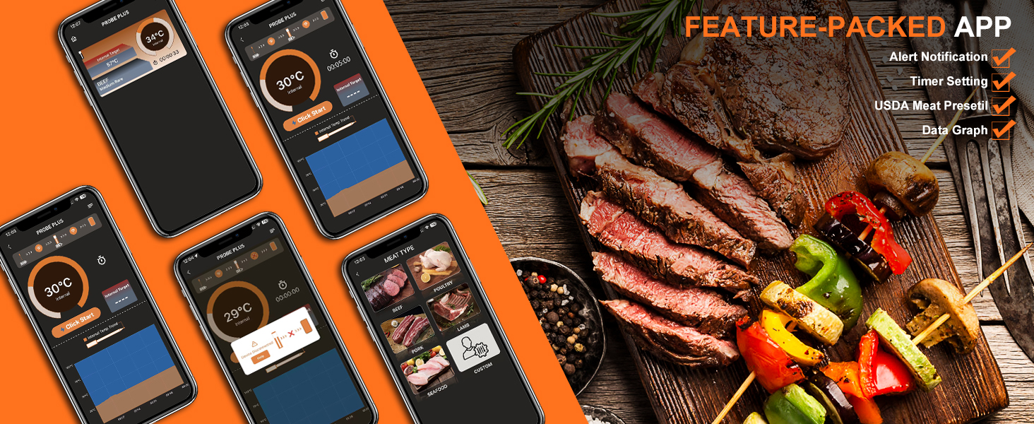 Plus Wireless Meat Thermometer Bluetooth with Probe for Grilling/Cooking