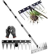 Joysuga Iron Weed Rake with 71" Adjustable Long Handle, 8 Teeth Manual Weed Remover Tool Heavy Du...