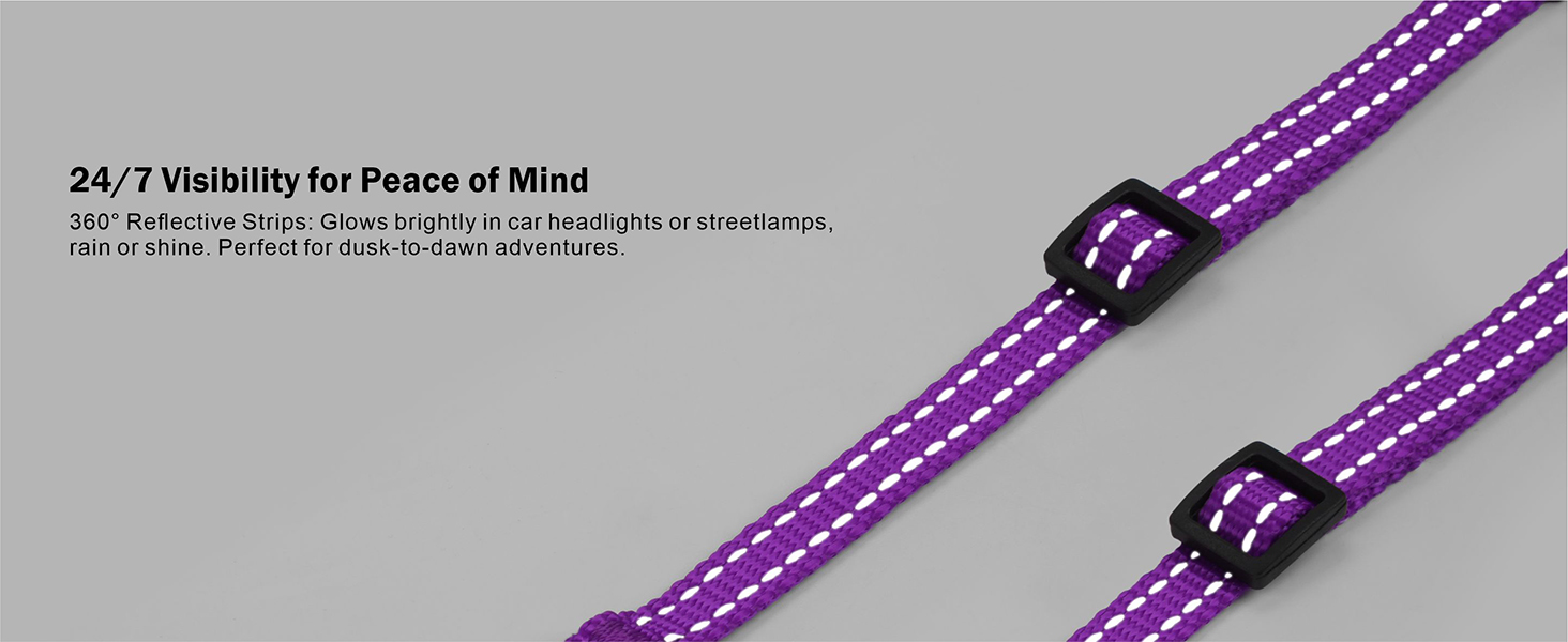 reflective dog collar