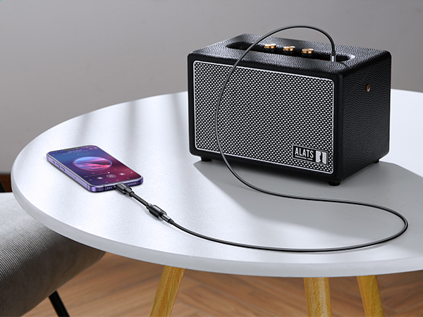 iPhone to Speaker/Amp