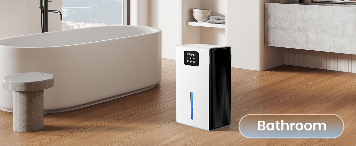 dehumidifier for bathroom