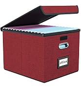 Huolewa Upgraded File Storage Organizer Box with lid, Decorative Small File Oragnizer Box for Han...