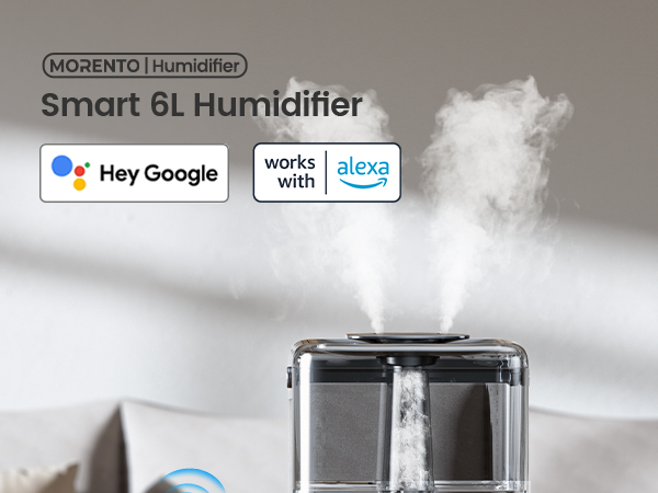 Smart 6L Humidifier