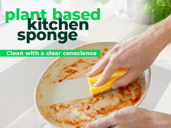 plant based kitchen sponge
