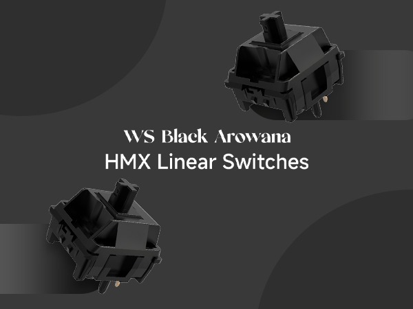 HMX SWITCHES