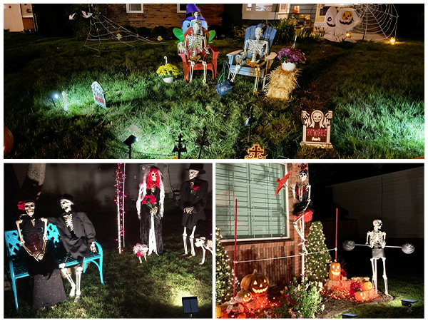 Halloween Decorations