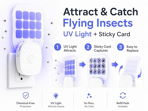 attract catch