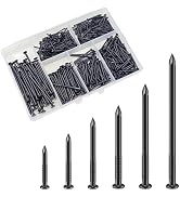 Wensilon Black High Strength Nails Kit, Hanging Nails Kit, Wall Nails Kit, Wood Nails Kit, Long N...