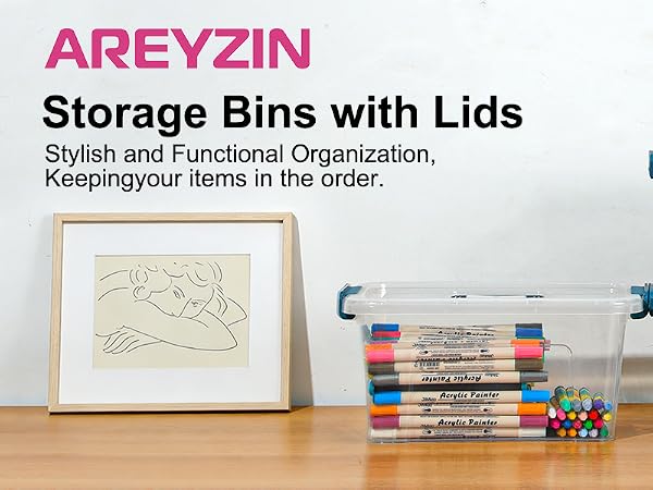 storage bins with lids