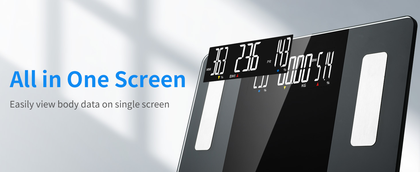 scale for body weight
