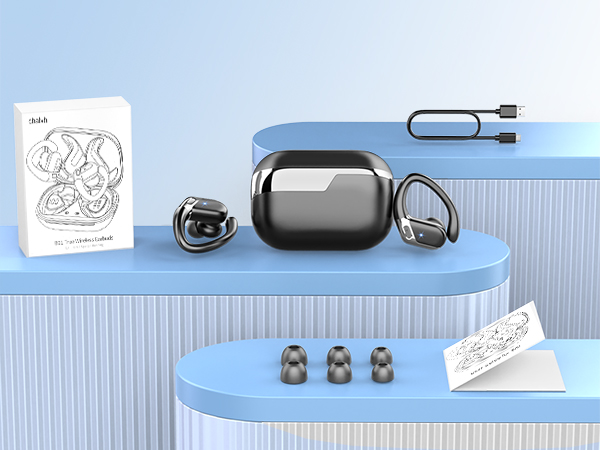 Wireless earbuds with charging case on blue surface. Accessories include USB cable, ear tips, and instruction manual.