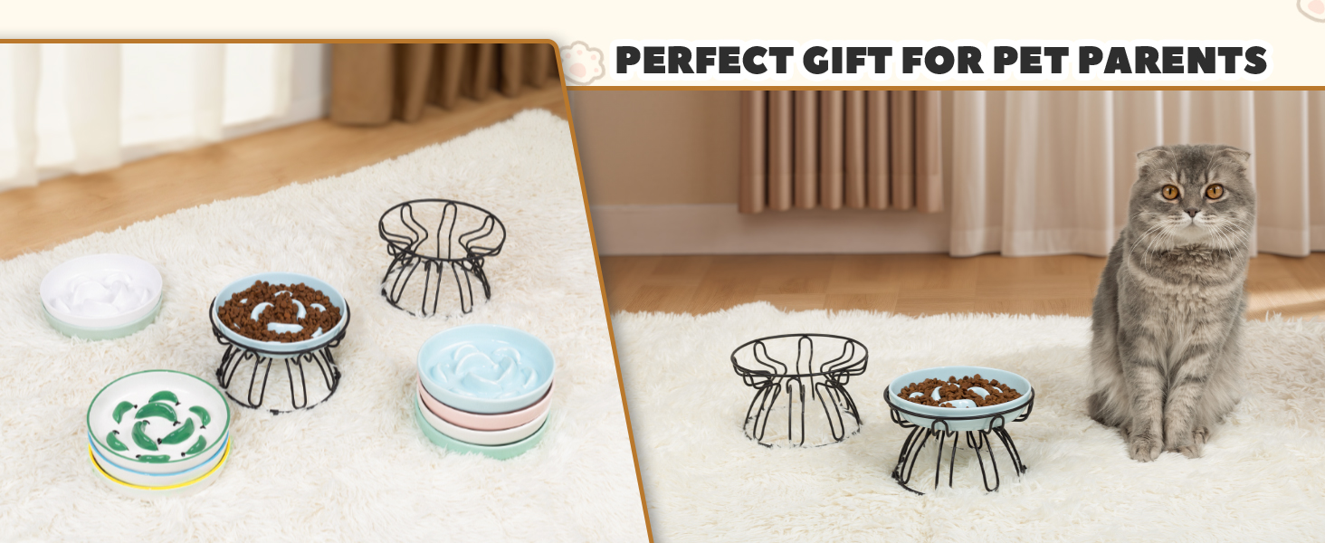 raised cat food bowl