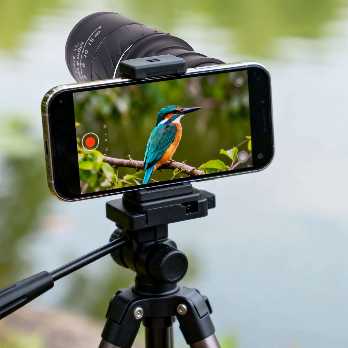https://imagizer.imageshack.com/img922/1339/MHpdC5.jpg