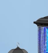 AMUFER Bug Zapper for Outdoor &amp; Indoor, 1/2 Acre Coverage Mosquito Lamp with 18W Bulb &amp; 4400V Hig...