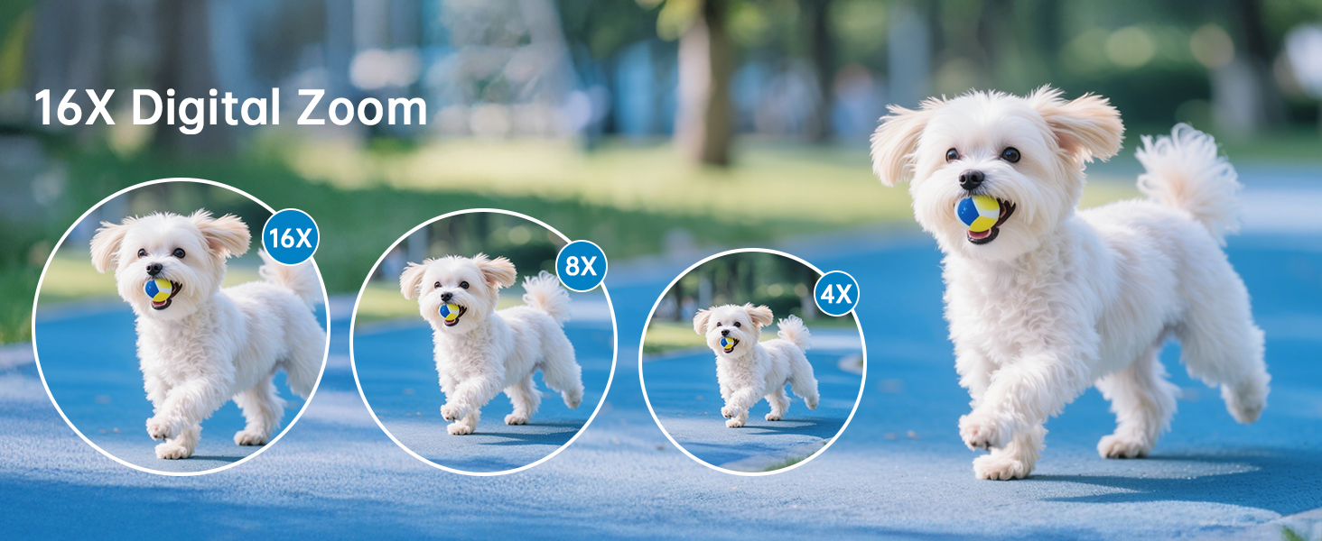 cameras for photography