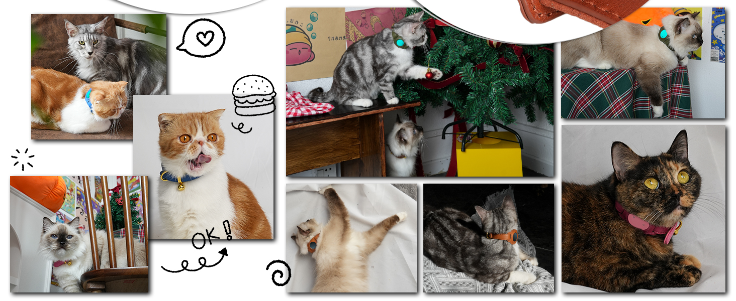 cat tracker collar cat gps tracker collar gps cat collar gps tracker for cats cat tracking collar