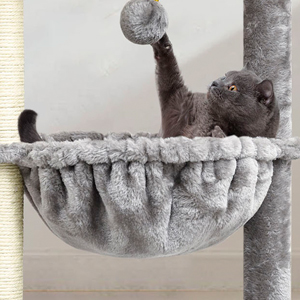 basket and ball