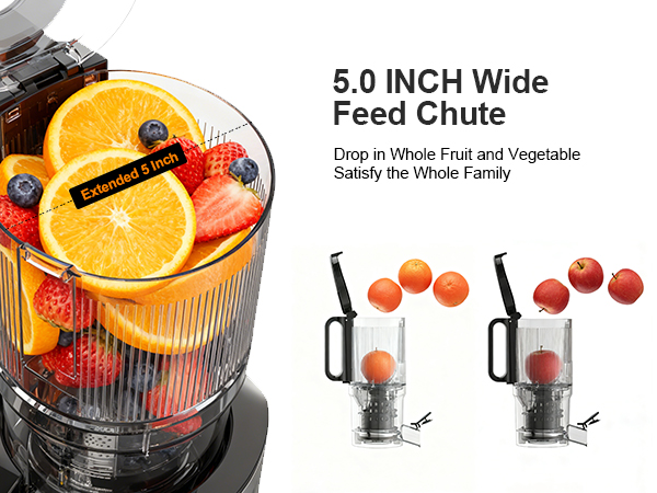 Module4-Wide Feed Chute