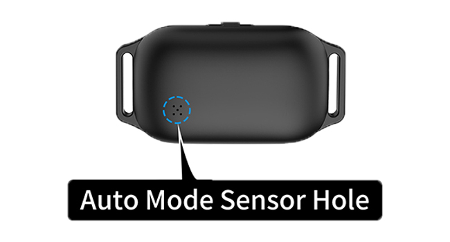 auto bark collar