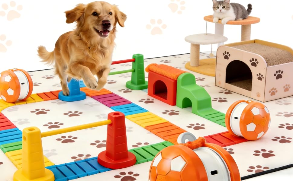 Interactive Cat Toy Ball for Indoor Cats