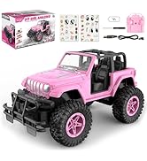NQD Remote Control Car, Rechargeable RC Racing Cars with Stickers 1:16 Scale, 80 Min Play, 2.4Ghz...
