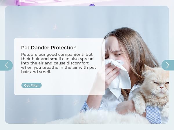 air purifier