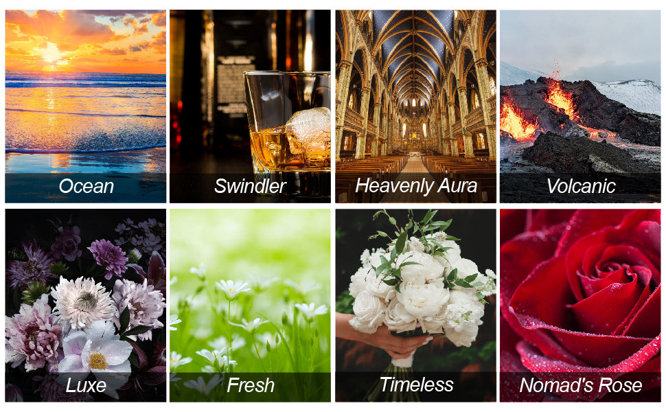 car smell air freshener;car scent;car scents;new car smell air freshener;car air freshener vent clip